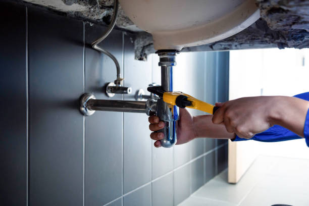 Best Tankless Water Heater Services  in Cowarts, AL